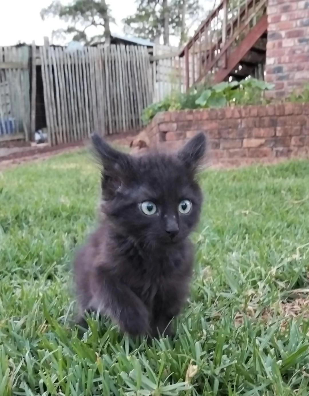 We tried the outside again.. Still a big NOPE 😅🖤