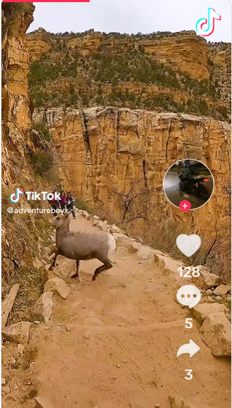 Wildlife encounters on Arizona trails spark debate