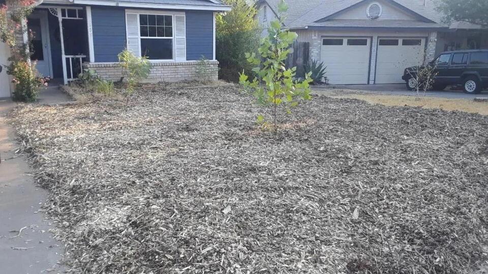 Why wood chips might not kill your grass for good