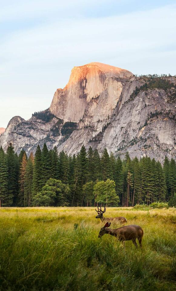 National Parks Now Costing Like Disney?!