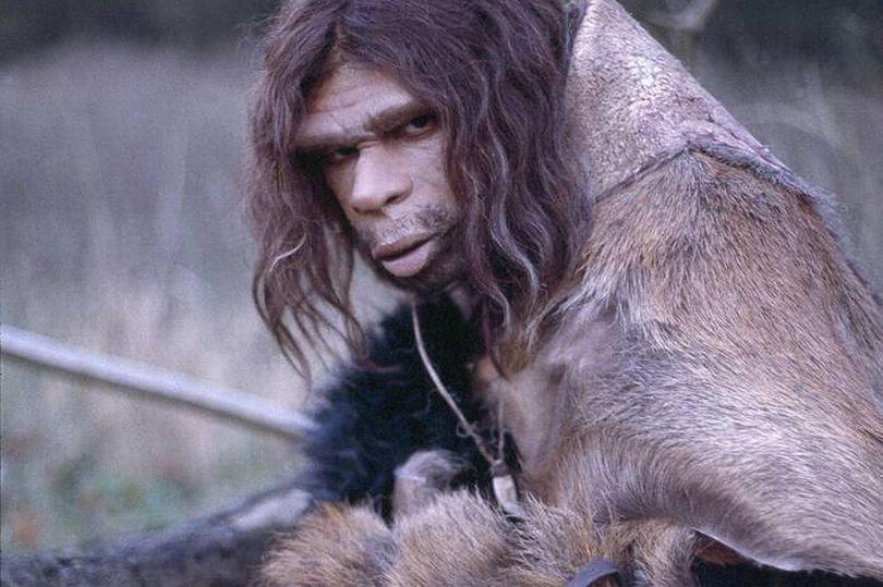 Neanderthal Cannibalism Was Real?!