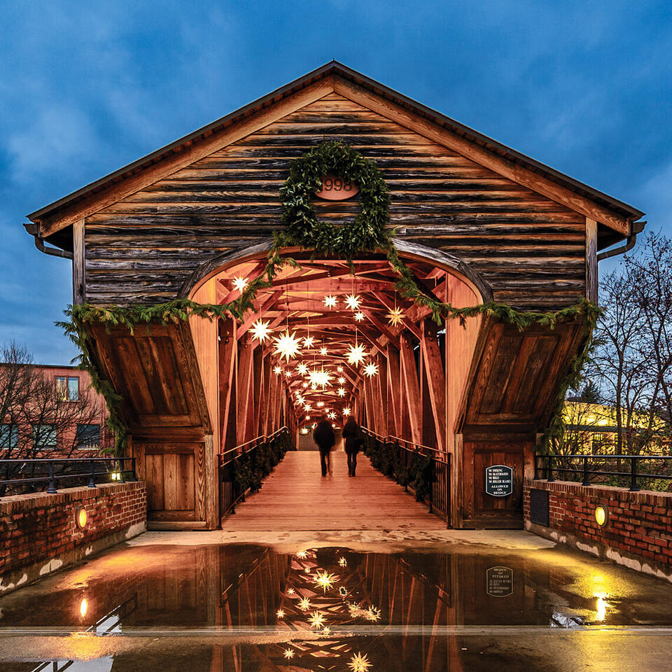 Magical Christmas lights across North Carolina