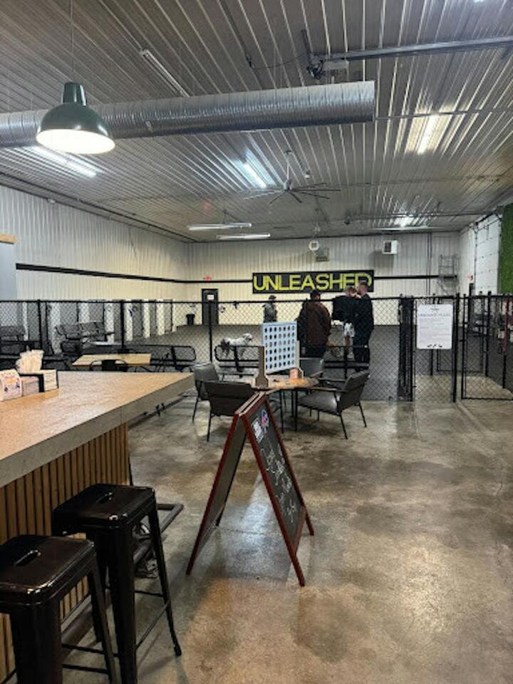 Buffalo’s bar where dogs steal the show