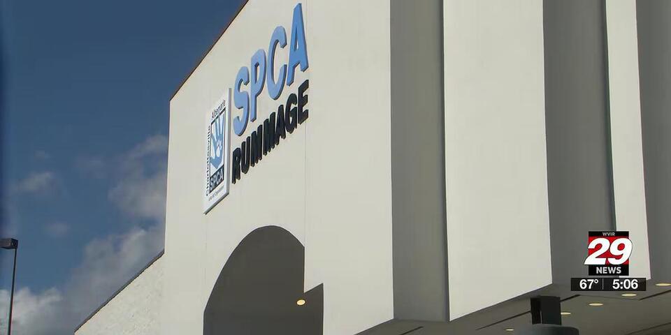 Free pet food drive brings relief to local families