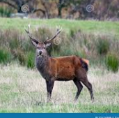 Why hunting is more than just the chase