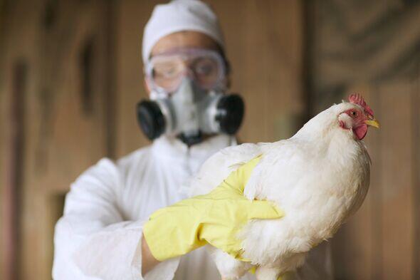 Bird Flu’s First Human Fatality—What to Know