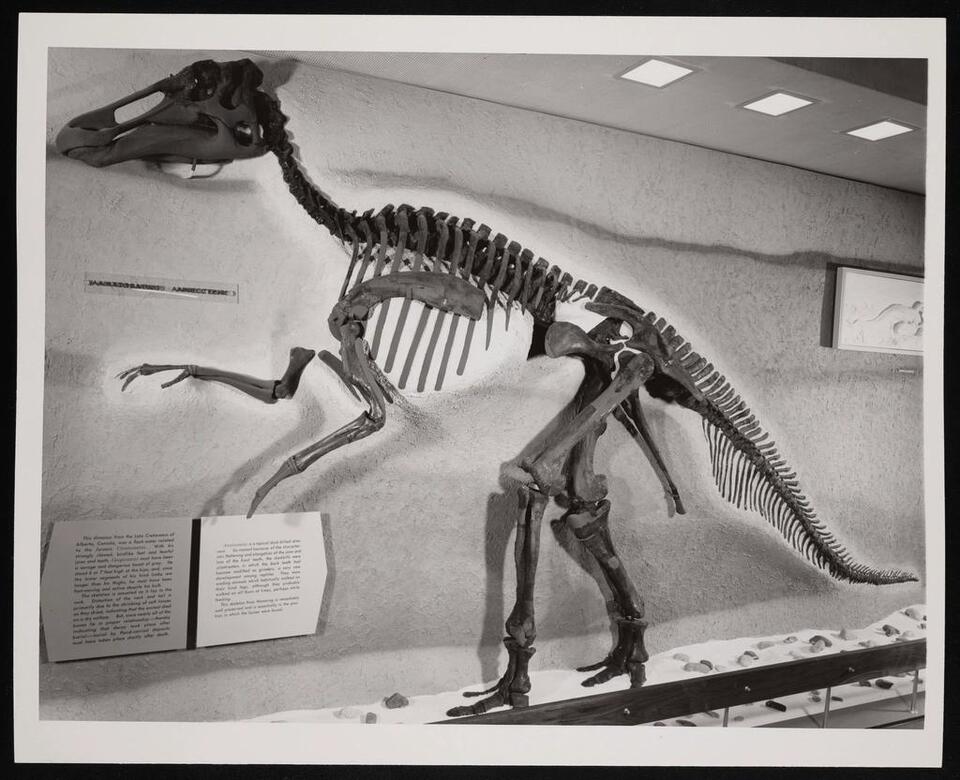 Dino Caught Mid-Snack—For 125 Million Years!