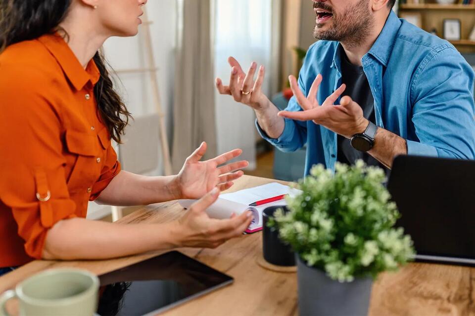 Would You Babysit a Puppy After Surgery?