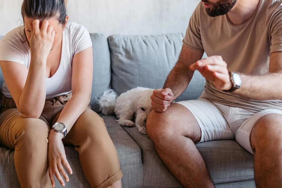 Would You Babysit a Puppy After Surgery?