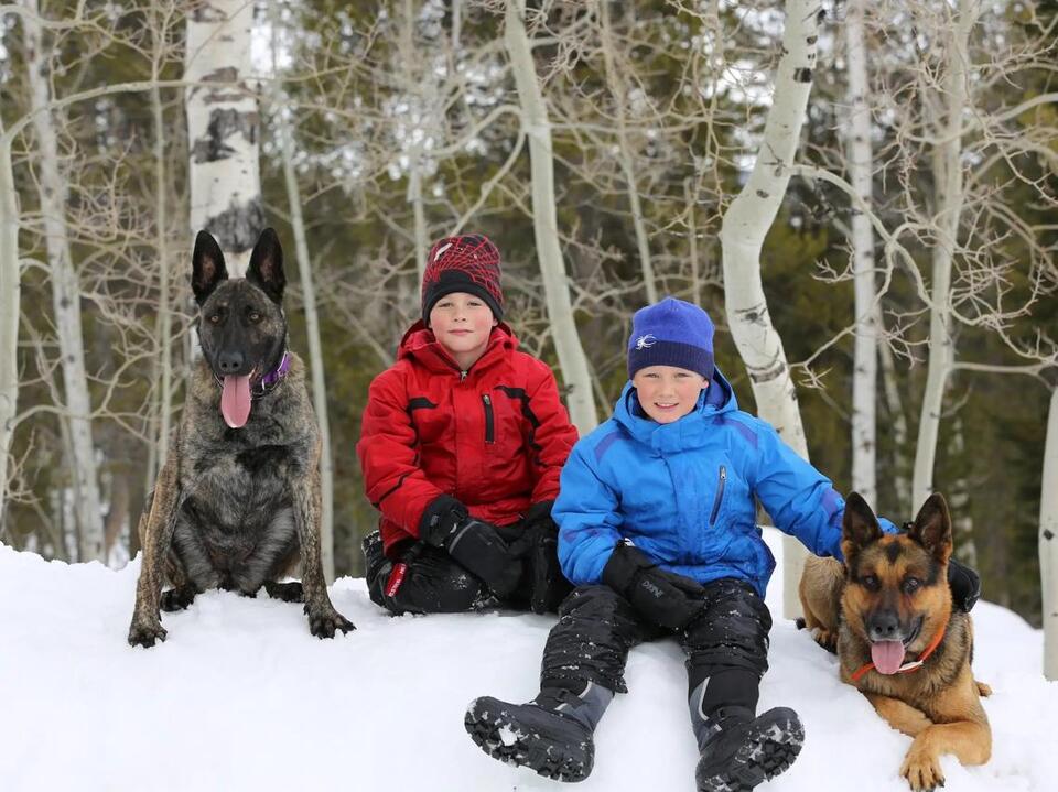 $175K Dogs? Meet the Woman Behind Them