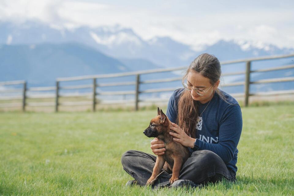 $175K Dogs? Meet the Woman Behind Them