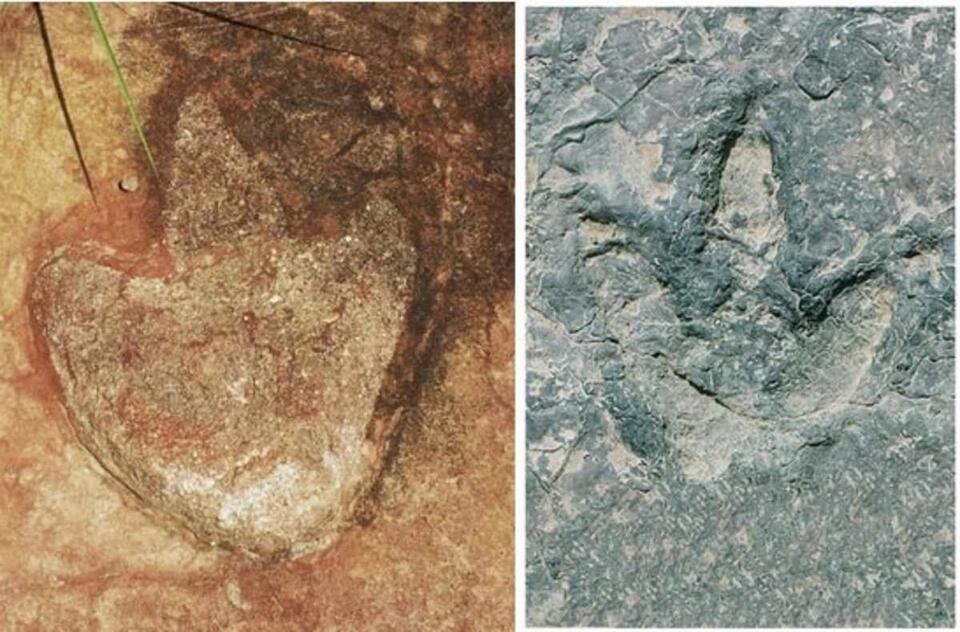 Dino Footprints Found Across the Atlantic?!