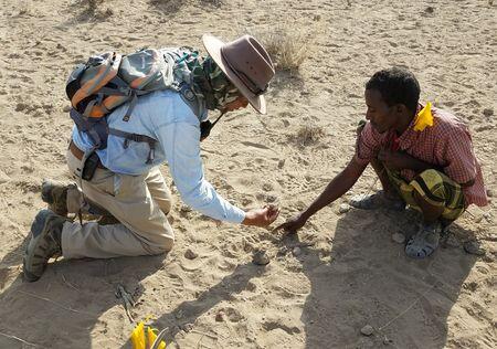Ancient Foot Fossil Reveals Human Cousins