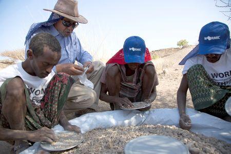 Ancient Foot Fossil Reveals Human Cousins