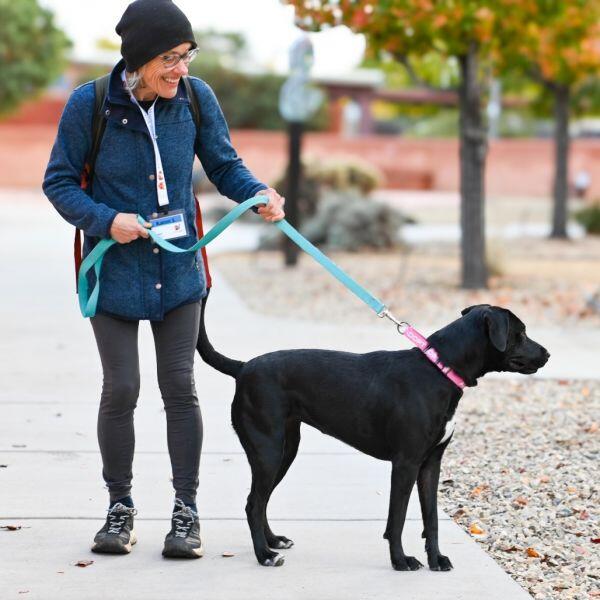 Meet Albuquerque’s adoptable pups!
