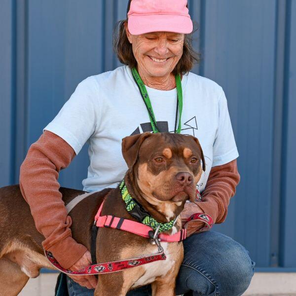 Meet Albuquerque’s adoptable pups!
