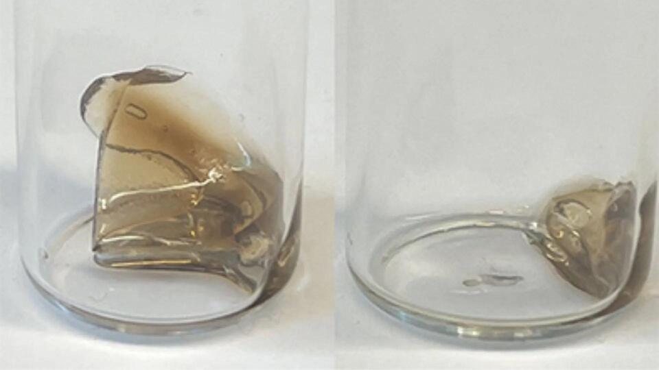 Plastic That Disappears on Command?!