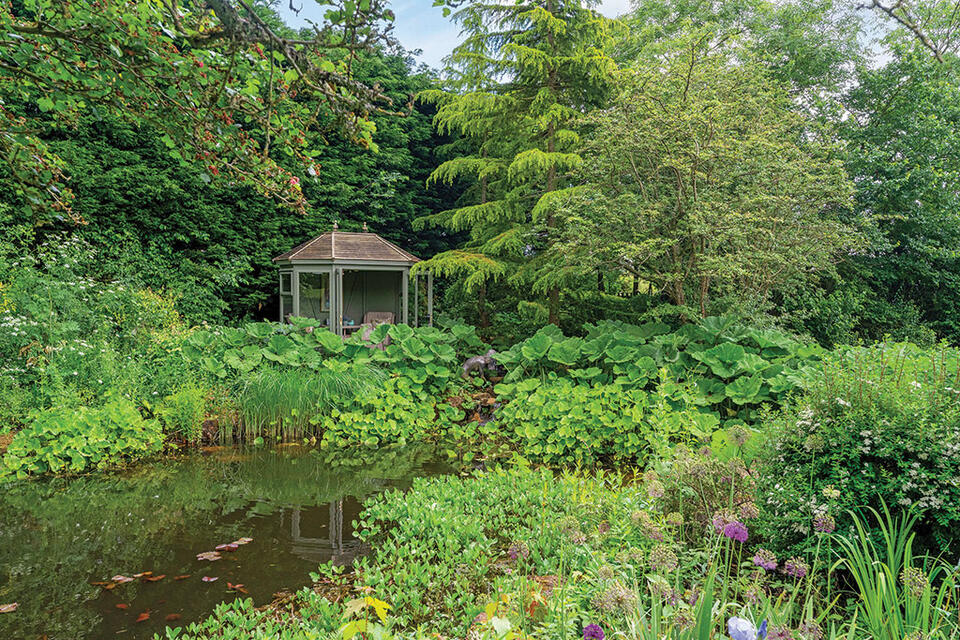Dream homes with stunning wildlife ponds