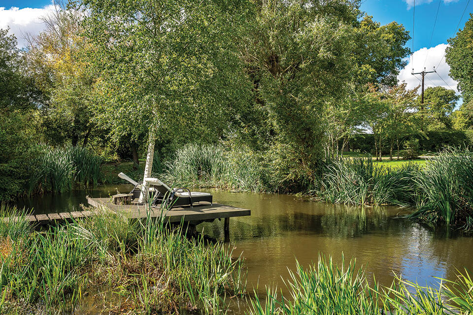 Dream homes with stunning wildlife ponds
