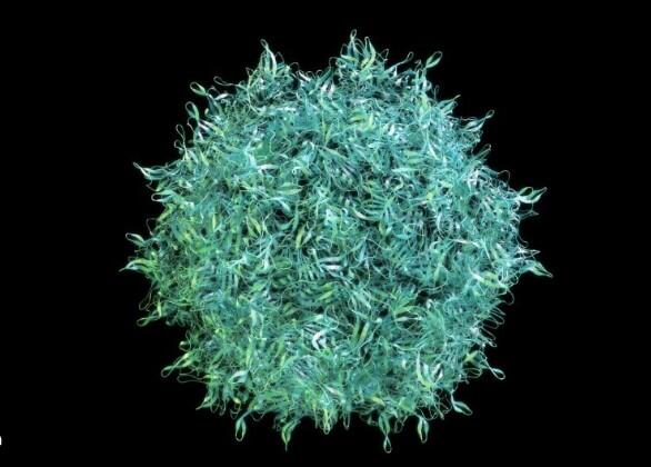 Why Hand Sanitizer Fails Against Norovirus