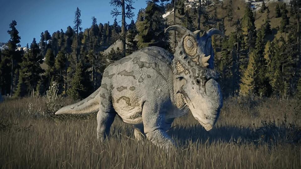 Dino Skull Bigger Than Your Couch?!