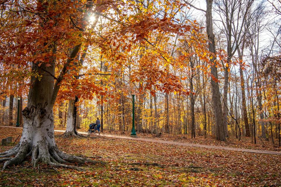 Bloomington neighbors rally as job search gets tough