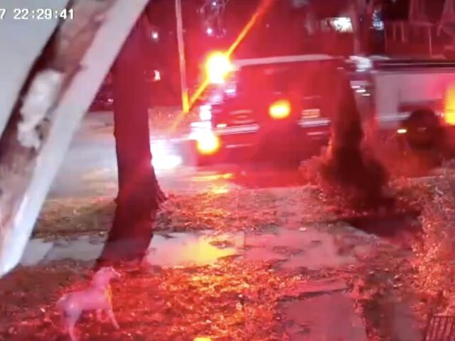 Detroit teen’s secret birth shocks family