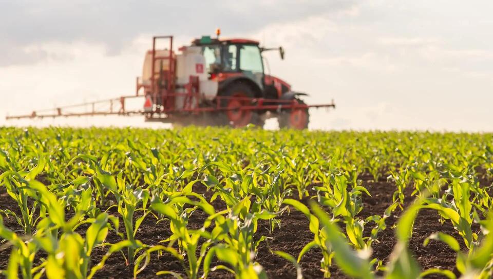 Pesticides in Your Produce? Yikes!