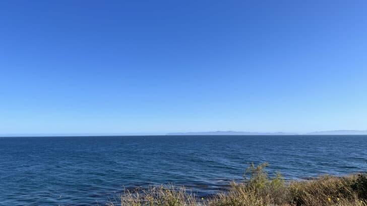 Ancient fish found off California coast