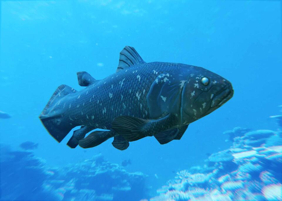 Ancient fish found off California coast