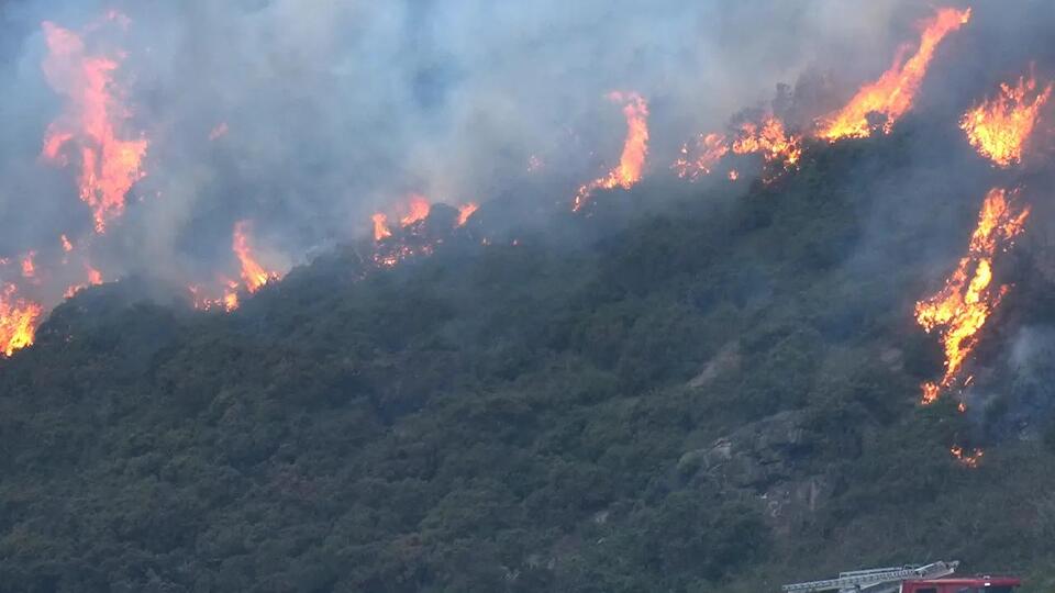 Bones Found Near Arthur's Seat—What’s Up?