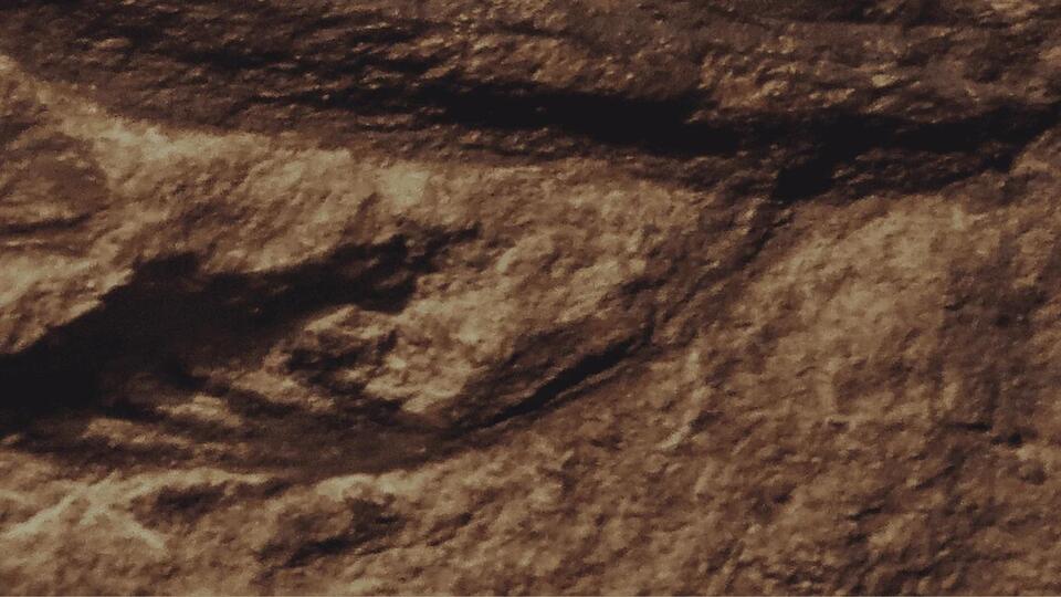 Fossil Fraud? 280-Million-Year-Old Find Busted