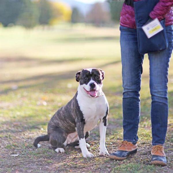 Meet your new best friend in Albuquerque!