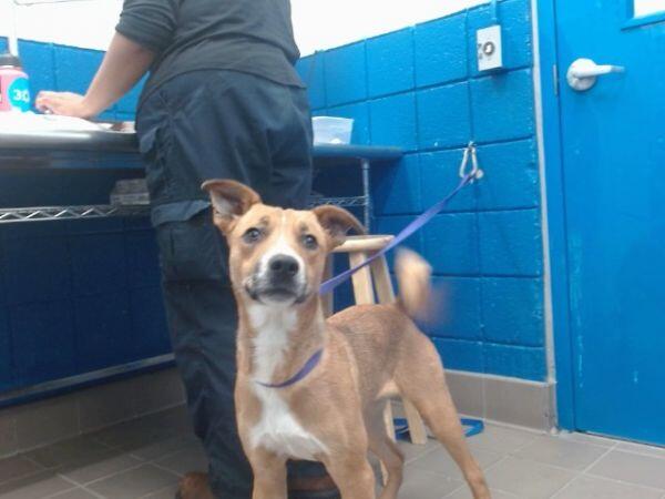 Meet your new best friend in Albuquerque!