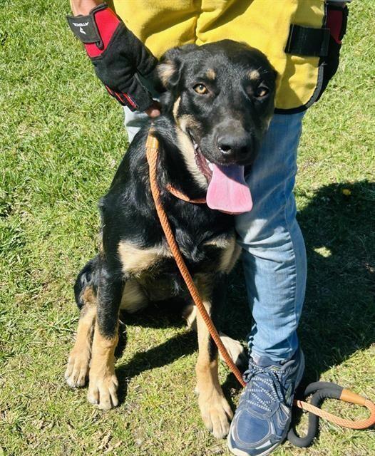 Meet your new best friend in Albuquerque!