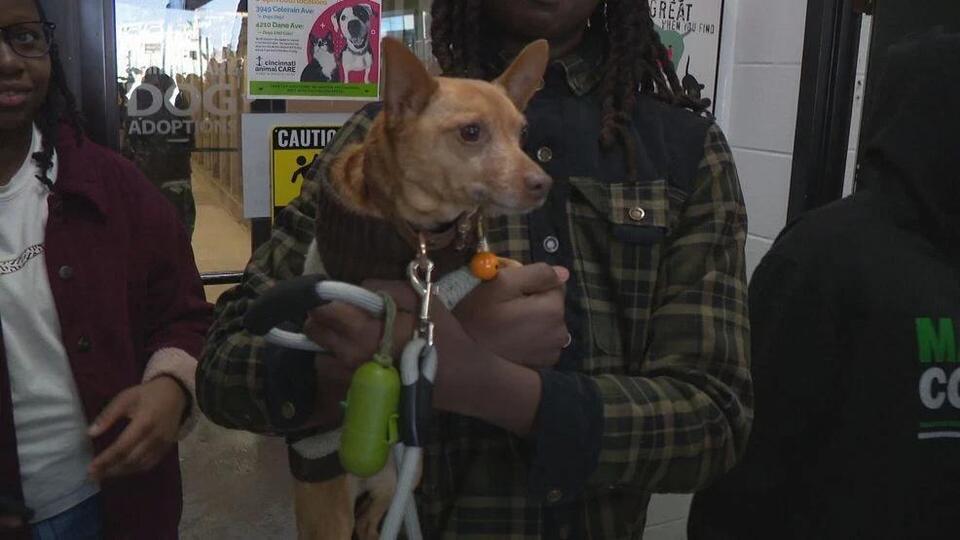 Cincinnati’s big win: 186 pets adopted!