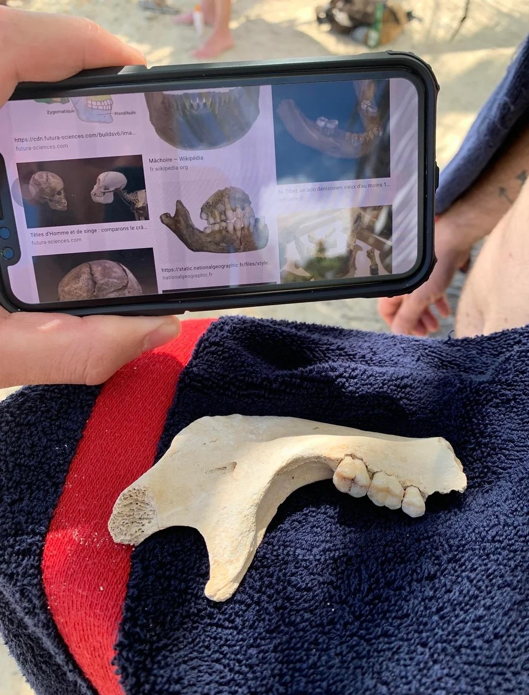 Found on a beach in Guadeloupe