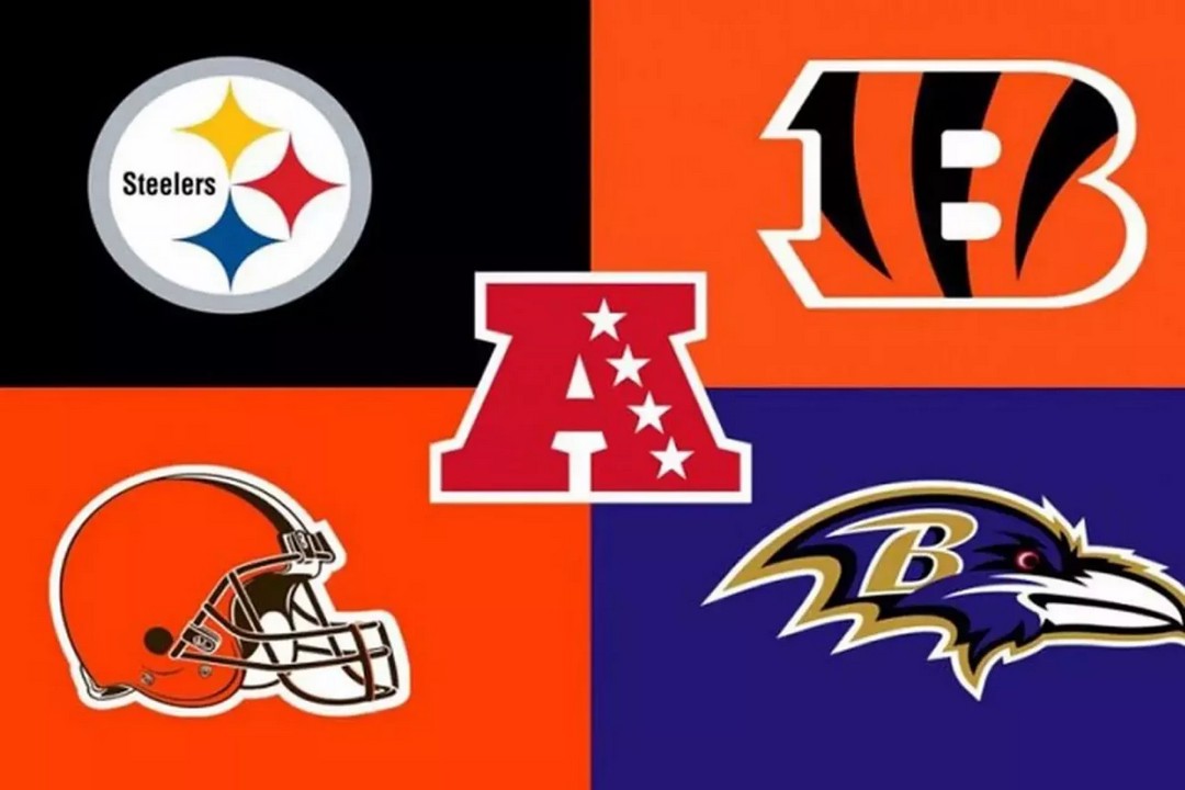 Is the AFC North the most disappointing division in football this year?