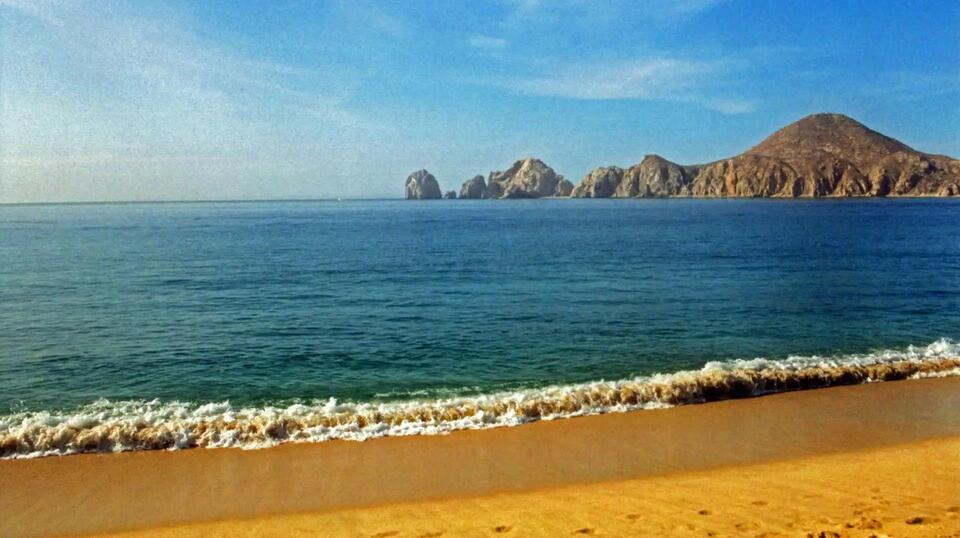 Vaquita Baby Sighting = Hope Restored