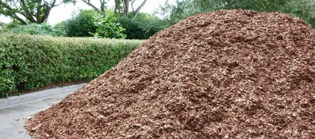 the only mulch that keeps weeds away AND fixes your soil