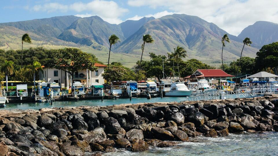 What If Billionaires Paid Hawaii-Level Taxes?