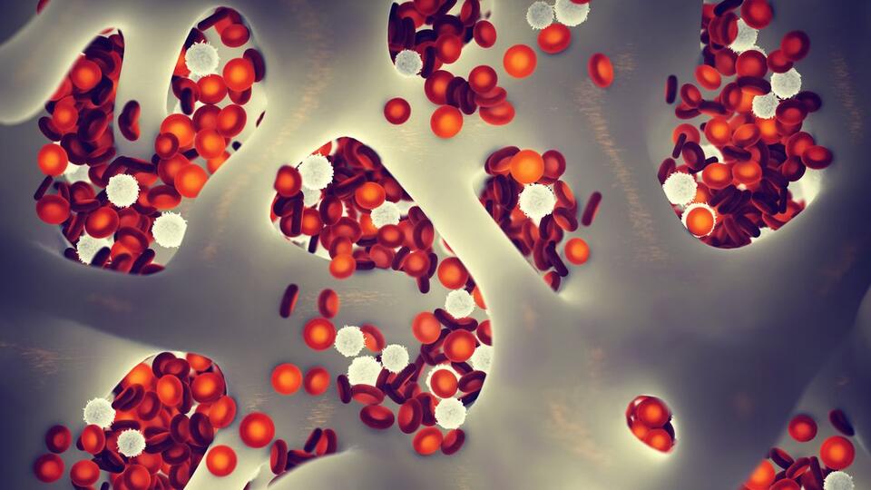 Another HIV Cure? Science Just Leveled Up