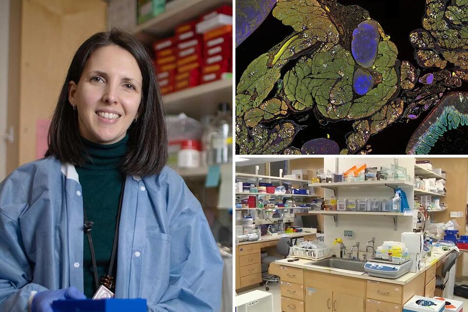 Pancreatic Cancer’s New Secret Weapon?