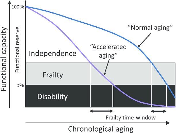 The Real Age When Frailty Hits Hard