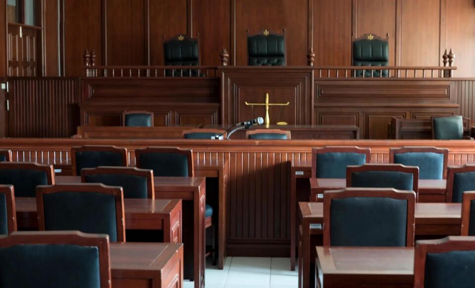 Wild twist: Elephant trafficker gets 15 years