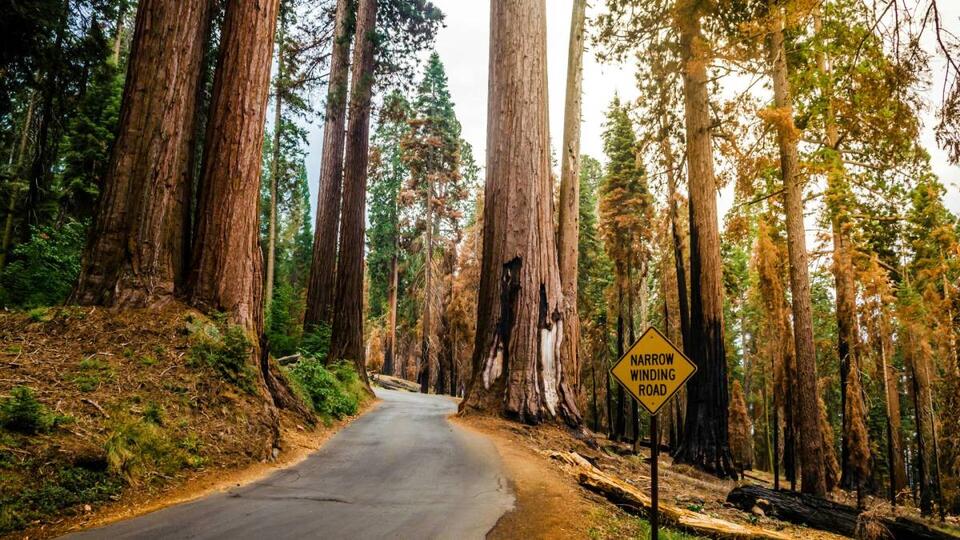 National Parks’ $100 Surcharge for Tourists?!