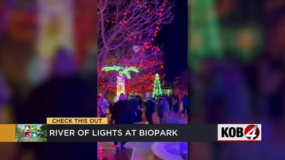 Holiday magic lights up Albuquerque nights