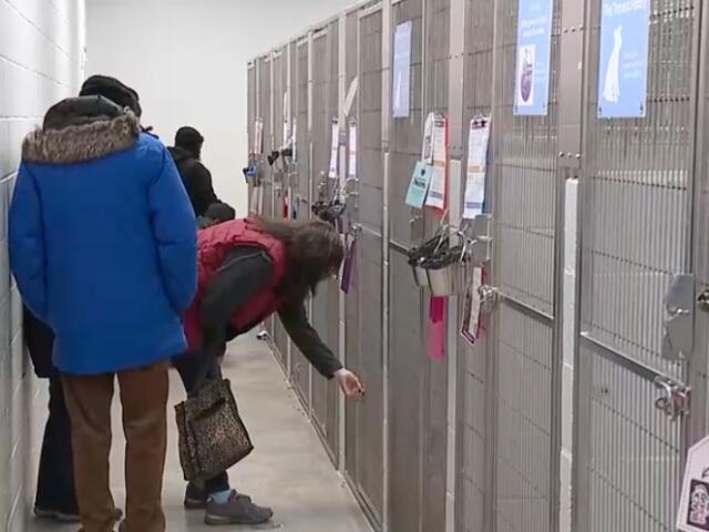 Baltimore’s Black 'Furiday' brings pets home