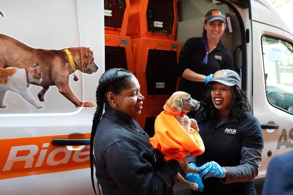 ASPCA Drama: Where Do Your Donations Go?