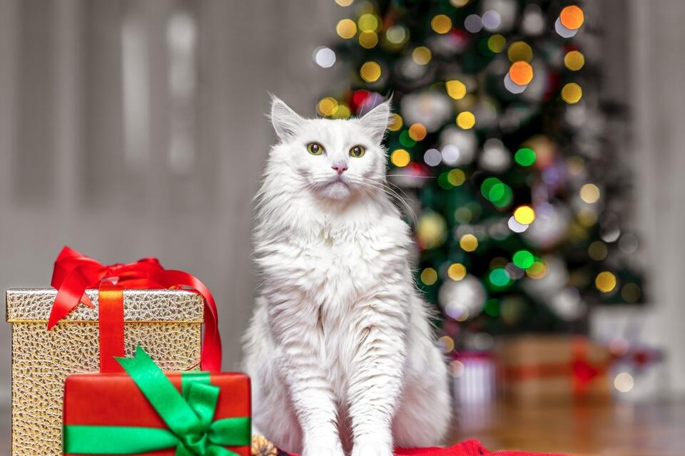 Cat Goes Full Miley on the Christmas Tree